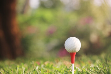 golf ball on tee in a beautiful golf course
