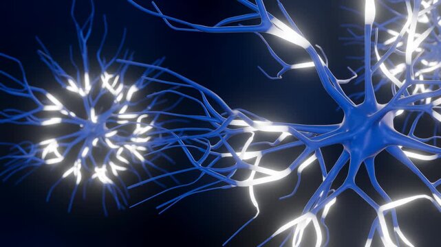 3d animation of dendritic neuron cells emitting electrical signals 