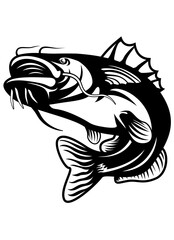 Cat Fish | Tropical Animal Fish | Outdoor Fishing | Big Catch | Lake Fishing | Ornamental Fish | Angling Tournament | Angler Dad | Original Illustration | Vector and Clipart | Cutfile and Stencil