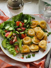 Fried dumplings on a checkered tablecloth