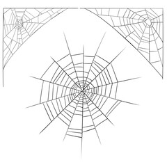 Obraz premium vector drawing spider web, hand drawn illustration