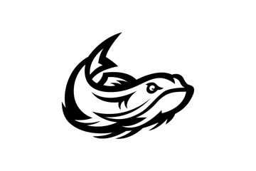 fish isolated on white