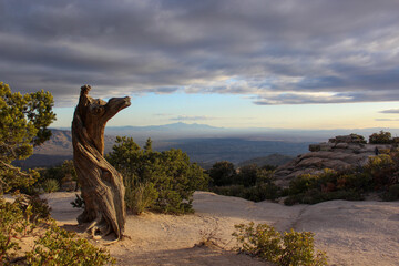 Mount Lemmon