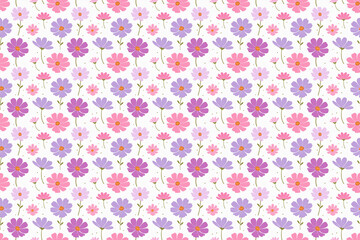 コスモスの花のシームレスパターンイラスト、白背景