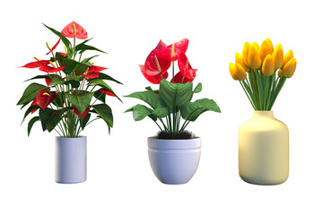 Flower plants in ceramic and glass pots.