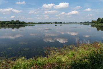 Piękny krajobraz nad wodą, Goczałkowice Polska. 