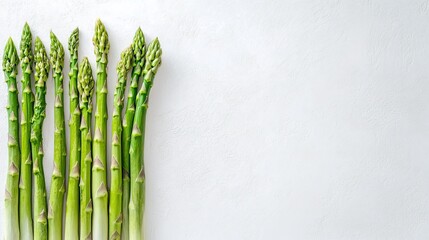Fresh asparagus bundle in a row on a white table, top view. Plenty of copy space for food-related content or advertisements.