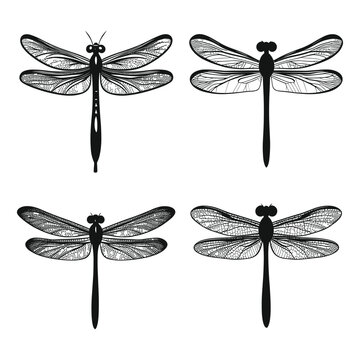 Four black and white dragonfly illustrations.