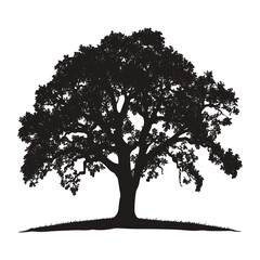 Silhouette of a large oak tree with a white background.