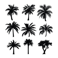 Silhouettes of palm trees on white background. Perfect for tropical designs.