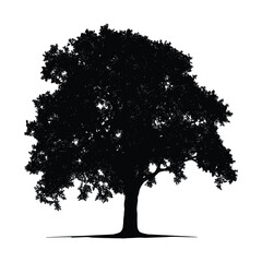 Fototapeta premium Silhouette of a large tree isolated on a white background.