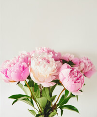 Fototapeta premium beautiful bunch of fresh fluffy pink peonies in full bloom against white background. Summery bouquet of blooming flowers