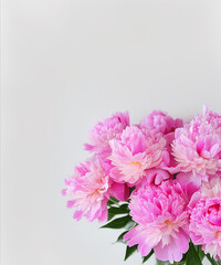 Fototapeta premium beautiful bunch of fresh fluffy pink peonies in full bloom against white background. Summery bouquet of blooming flowers