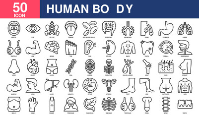 Human Body icon collection set. Simple Line Vector