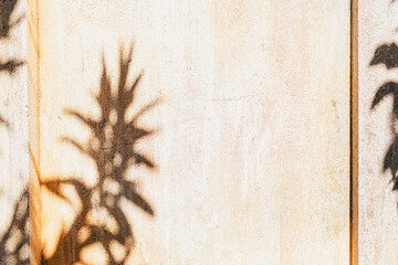 light, shadow, space, reflection, texture, silhouette, sunlight, leaf art