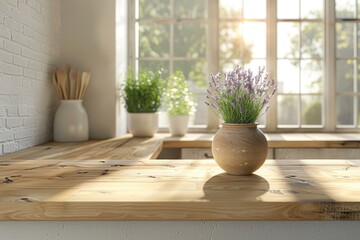 Lavender plant on kitchen windowsill in sunlight
