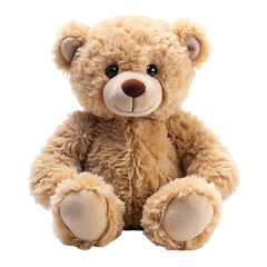 bear stuffed fluffy plushie on transparent background