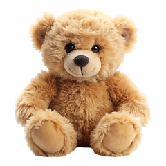 Obraz premium bear stuffed fluffy plushie on transparent background