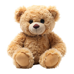 bear stuffed fluffy plushie on transparent background