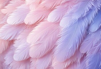 Soft Pink and Purple Feather Texture Background