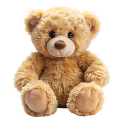 bear stuffed fluffy plushie on transparent background