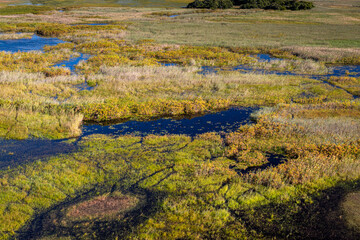 Okavango Delta, This delta in north-west Botswana comprises permanent marshlands and seasonally...
