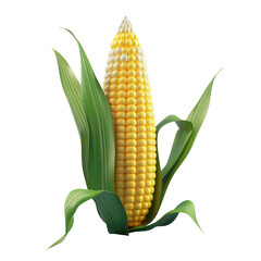 Corn on a transparent background.
