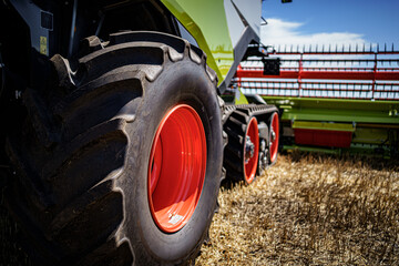Harvesting wheat with a green combine. Farm machinery harvesting wheat crop. Green harvester in...