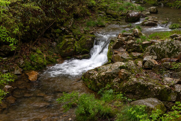 Fototapeta premium waterfall in the forest