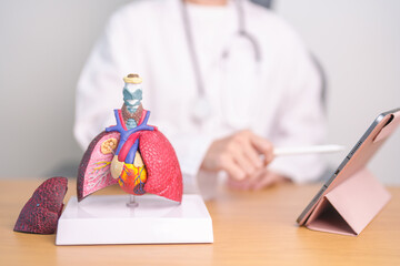 Doctor with heart Cardiovascular and Respiratory anatomy for Disease. Lung Cancer, Asthma, Chronic Obstructive Pulmonary or COPD, Bronchitis, Emphysema, Cystic Fibrosis, Bronchiectasis, Pneumonia