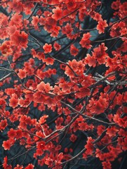 Red Flowers on Tree Branch