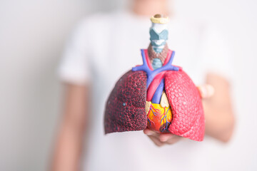 woman hold Respiratory system anatomy for Diseases. Lung Cancer, Asthma, Chronic Obstructive Pulmonary or COPD, Bronchitis, Emphysema, Cystic Fibrosis, Bronchiectasis, Pneumonia and Pleural Effusion