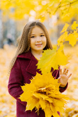 Cute girl in autumn clothes in a park with yellow leaves. A smiling child is playing in the park