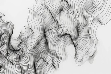 Black and white drawing with flowing wavy lines on a white background, Flowing lines creating a sense of movement