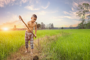 kid holding hoe cut grass rice field daily life agriculture countryside lifestyle beautiful thailand traditional