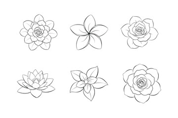 Line art of Six Flowers set illustration Vector