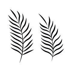 Obraz premium Realistic palm tree leaf silhouette on white background. palm tree leaf silhouette illustration