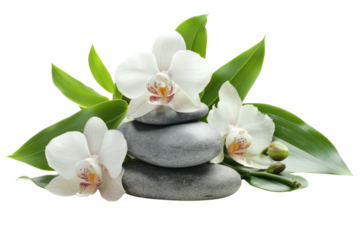 Smooth polished spa stones arranged harmoniously on a white background.