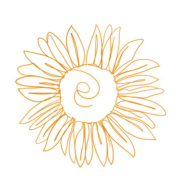 recommend clip art: tournesol one line 