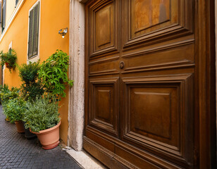 Old wooden door with plants on the street in Rome, Italy.