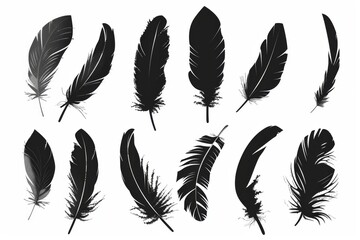 Feather icon, animal feathers isolated, black plume symbol, minimal plume silhouette on white