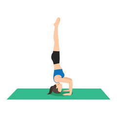 Fototapeta premium Woman doing Headstand Pose Ii or Sirsasana Ii yoga exercise. Flat vector illustration isolated on white background