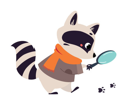 Raccoon Animal Detective Character with Magnifier Investigating and Search for Evidence Vector Illustration