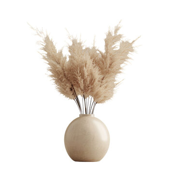 Dry plant in ceramic pot on transparent background showcasing modern boho, tropical, and bohemian style.