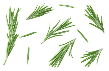 Naklejka premium rosemary branch isolated on white background. Clipping path