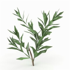 Naklejka premium 3D Render, Low Poly style of rosemary sprig, on isolated white background, Generative AI