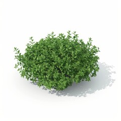 Naklejka premium 3D Render, Low Poly style of thyme bundle, on isolated white background, Generative AI