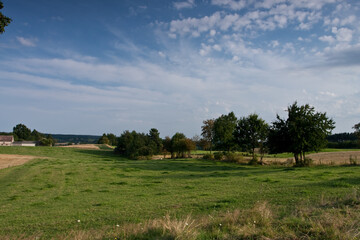 Obraz premium Łąka