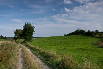 Obraz premium Polna droga