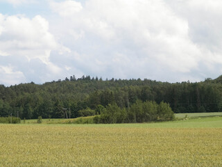 Hills and meadows of Kashubia Region, Poland.